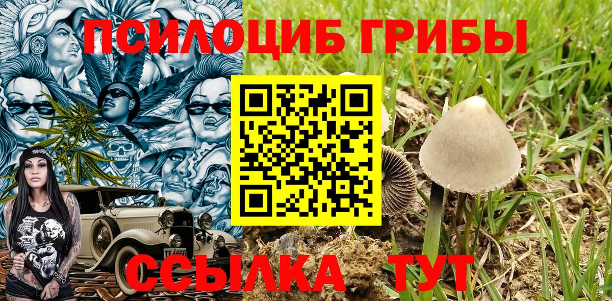 Баксан  Галлюциногенные грибы Cubensis  Вход с VPN  Галлюциногенные грибы Cubensis 