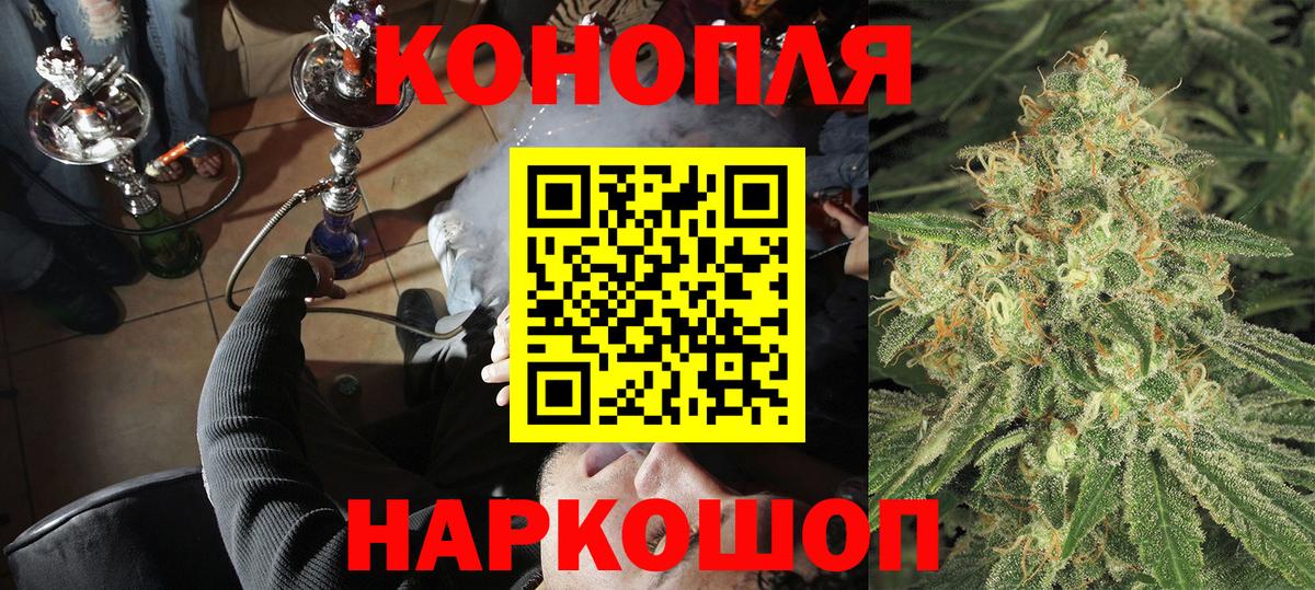 Бошки Шишки ГИДРОПОН Баксан